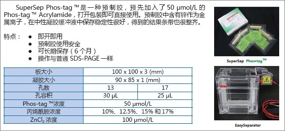 预制胶SuperSepTM Phos-tagTM (50μmol/l), 12.5%, 17well