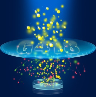 G-418 Sulfate