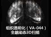 VA-044（细胞生物级别）