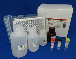 Human ES/iPS Cell Monitoring Kit 人类ES/iPS细胞检测试剂盒