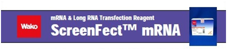 mRNA&amp;长链RNA转染试剂ScreenFect™ mRNA