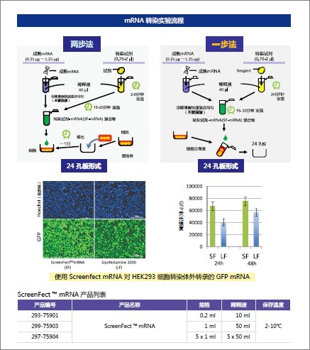 mRNA&amp;长链RNA转染试剂ScreenFect™ mRNA