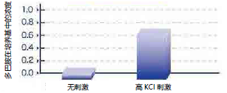 人iPS细胞来源的多巴胺神经细胞，人神经细胞疾病模型                              ReproNeuro DA