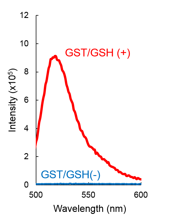 DNs-Rh ＜Cell-based GST Activity Assay Reagent＞                              可用于活细胞的GST活性检测探针