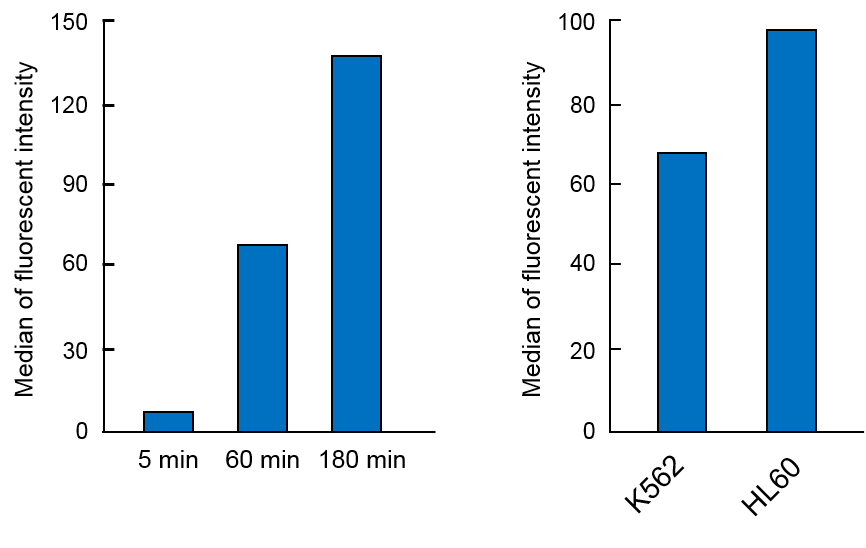 DNs-Rh ＜Cell-based GST Activity Assay Reagent＞                              可用于活细胞的GST活性检测探针