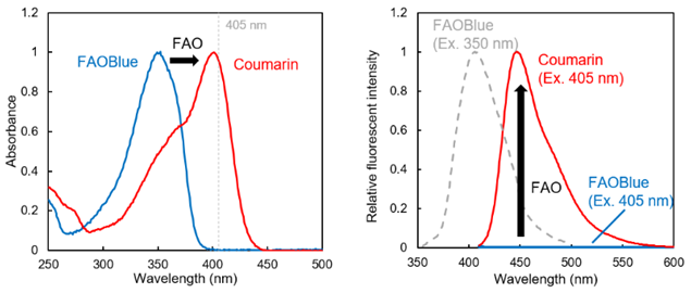 FAOBlue                              可荧光定量活细胞的脂肪酸β-氧化（FAO）活性的试剂