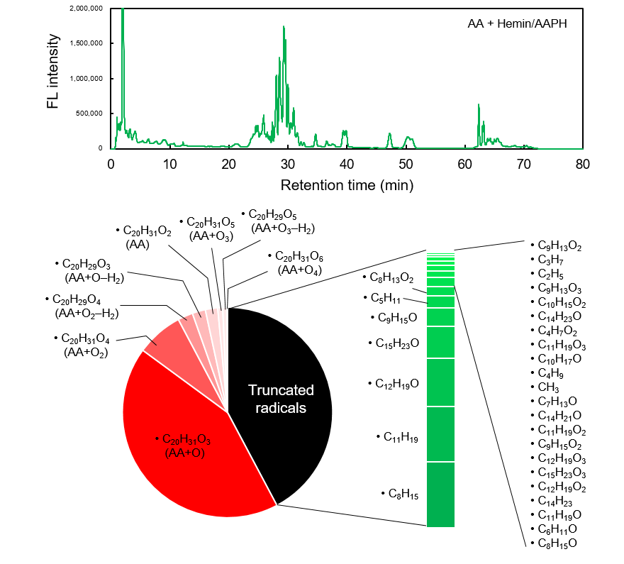 0416097420645166.png LipiRADICAL Green(检测试剂)/OH-Pen(抑制物质) 脂质过氧化研究的新工具!脂质自由基检测试剂和抑制物质