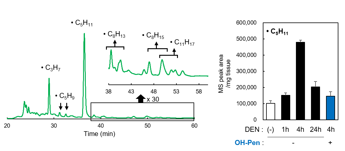 0416097421386453.png LipiRADICAL Green(检测试剂)/OH-Pen(抑制物质) 脂质过氧化研究的新工具!脂质自由基检测试剂和抑制物质