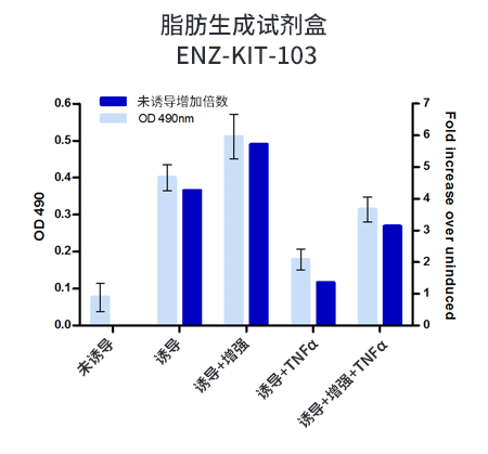 脂肪形成检测试剂盒                              Adipogenesis assay kit