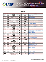 PROTEOSTAT® Aggresome detection kit                              蛋白聚集小体检测试剂盒