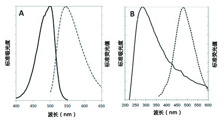 CYTO-ID® 自噬检测试剂盒 2.0                              CYTO-ID® Autophagy detection kit 2.0