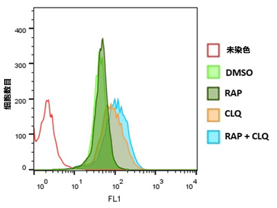 CYTO-ID® 自噬检测试剂盒 2.0                              CYTO-ID® Autophagy detection kit 2.0