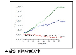 线粒体检测分析