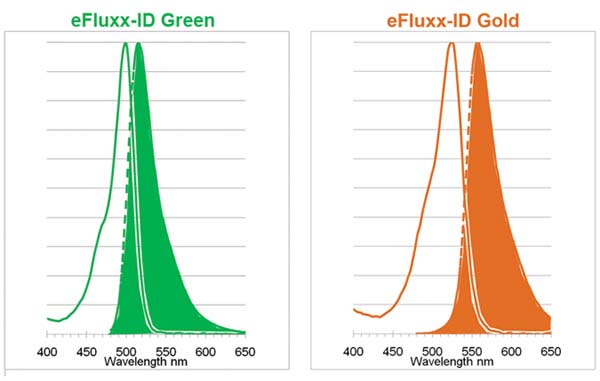 多药耐药性检测试剂盒——监测三种ABC转运蛋白                              EFLUXX-ID® multidrug resistance assay kit