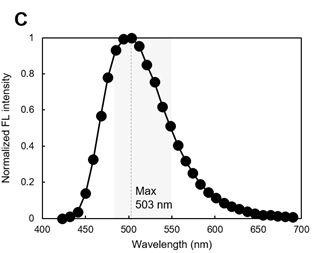 LipiDye Ⅱ                              高灵敏度脂滴长时间成像荧光染料