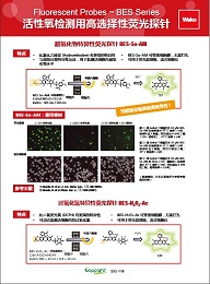 BES 特异性荧光探针