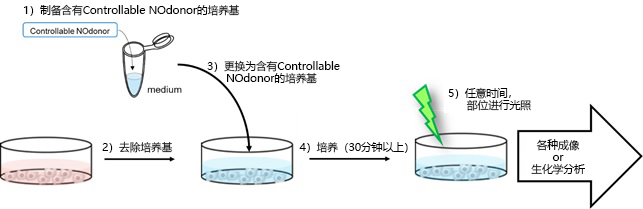 Controllable Nodonor,NO-Rosa5                              在任意范围、时间通过可视光照射释放NO(Nitric oxide)的试剂