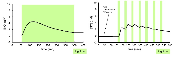 Controllable Nodonor,NO-Rosa5                              在任意范围、时间通过可视光照射释放NO(Nitric oxide)的试剂