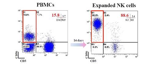 BINKIT® NK 细胞扩增套装（外周血单核细胞来源）                              BINKIT® for NK cells expansion from PBMCs