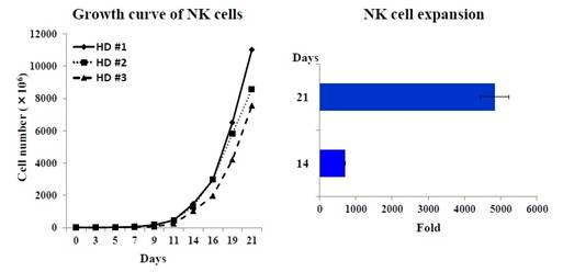 BINKIT® NK 细胞扩增套装（外周血单核细胞来源）                              BINKIT® for NK cells expansion from PBMCs