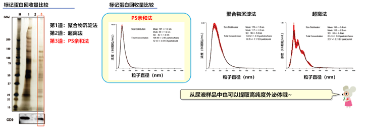 MagCapture™ 外泌体提取试剂盒                              MagCapture™ Exosome Isolation Kit PS