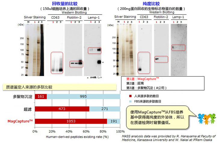 MagCapture™ 外泌体提取试剂盒                              MagCapture™ Exosome Isolation Kit PS