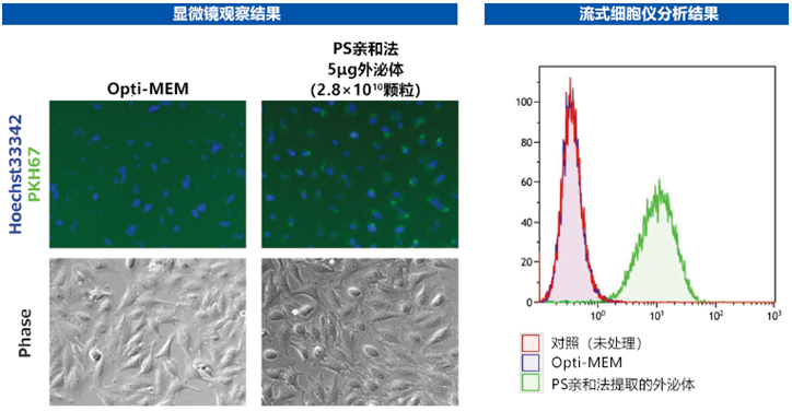 MagCapture™ 外泌体提取试剂盒                              MagCapture™ Exosome Isolation Kit PS