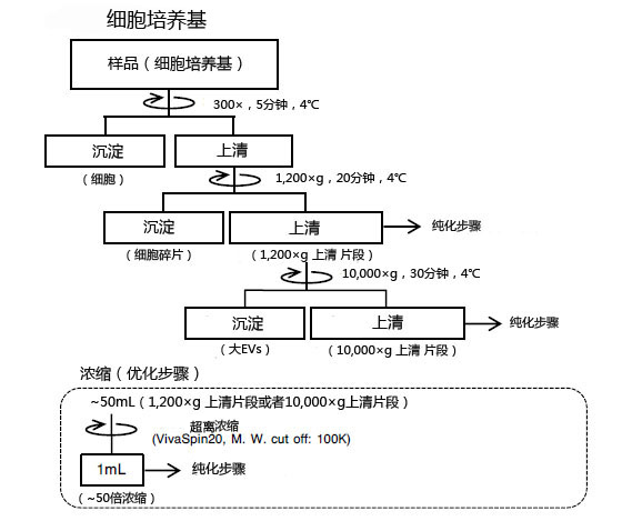 MagCapture™ 外泌体提取试剂盒                              MagCapture™ Exosome Isolation Kit PS