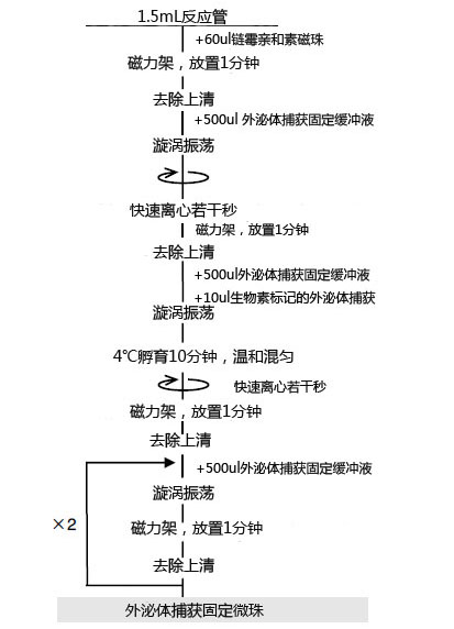 MagCapture™ 外泌体提取试剂盒                              MagCapture™ Exosome Isolation Kit PS