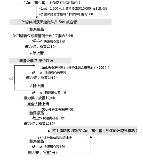 MagCapture™ 外泌体提取试剂盒                              MagCapture™ Exosome Isolation Kit PS