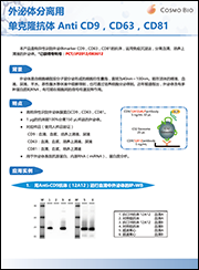 外泌体分离用单克隆抗体 Anti CD9，CD63，CD81