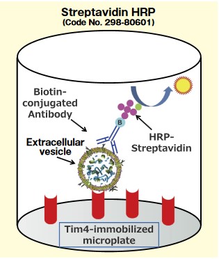 PS Capture™ 外泌体ELISA试剂盒（链霉亲和素HRP）                              体液样本中细胞外囊泡的分析工具
