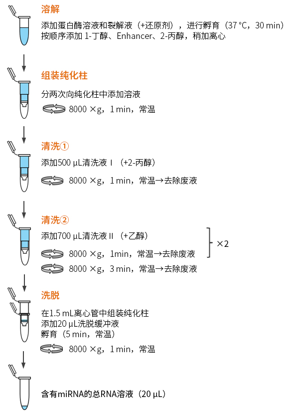 纯化细胞外囊泡（EV）用miRNA提取试剂盒