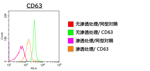 EV-Perm™ 外泌体膜渗透处理用试剂盒