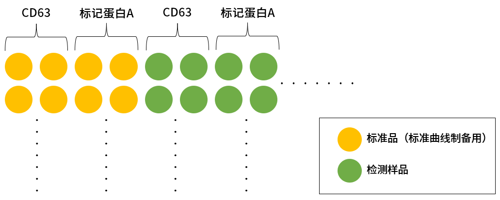 EV-Perm™ 外泌体膜渗透处理用试剂盒