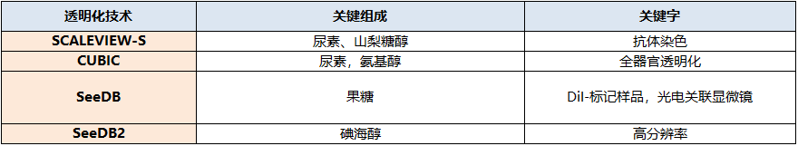 SeeDB2                              深层组织的高分辨率·高亮度分析