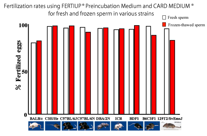 小鼠精子冻存液和体外受精培养基                              FERTIUP ®  &CARD MEDIUM ®