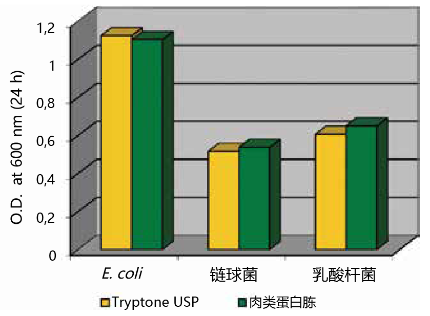 蛋白胨 • 蛋白水解物                              应用于微生物培养、发酵、生物制药生产