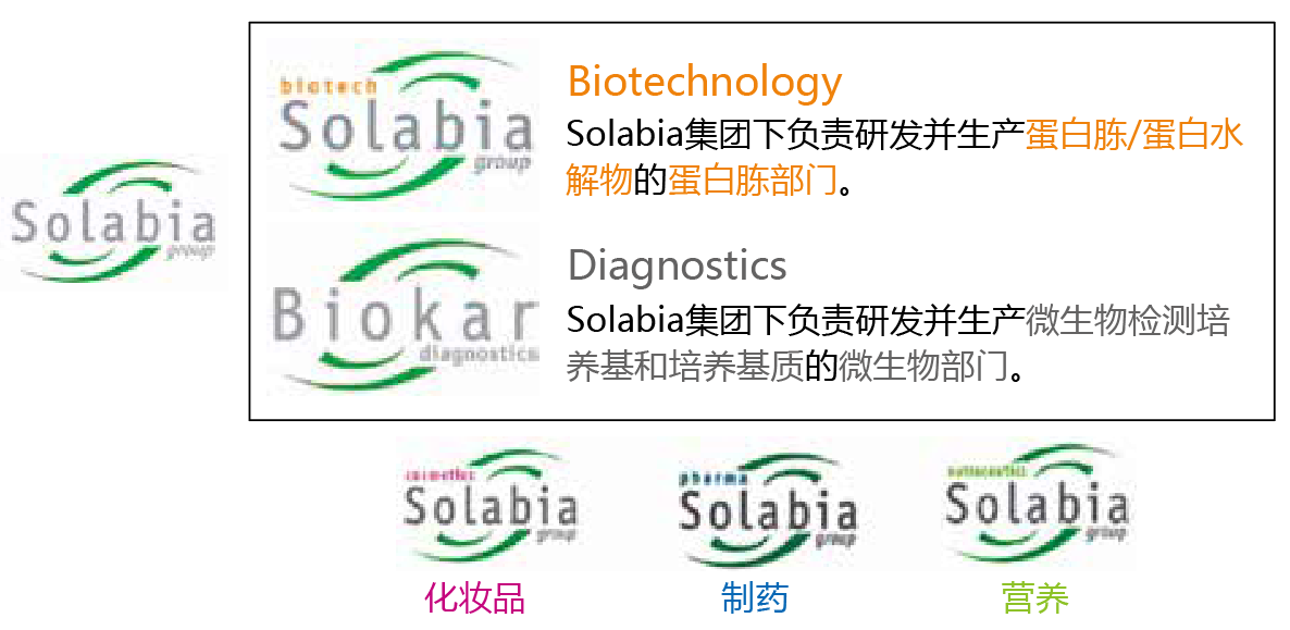 蛋白胨 • 蛋白水解物                              应用于微生物培养、发酵、生物制药生产