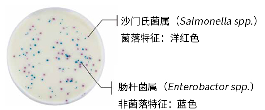 AFNOR认证产品