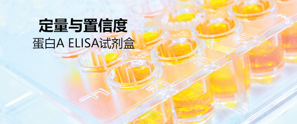 蛋白A ELISA试剂盒                              Protein A ELISA kit