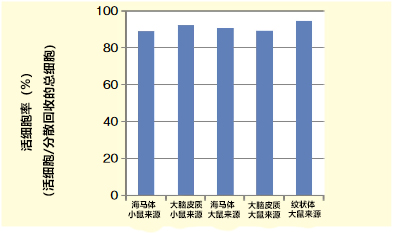 Wako 神经细胞用分散液