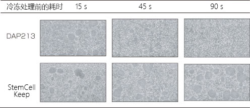 适用于灵长类 ES/iPS 细胞的玻璃化冻存液                              StemCell Keep