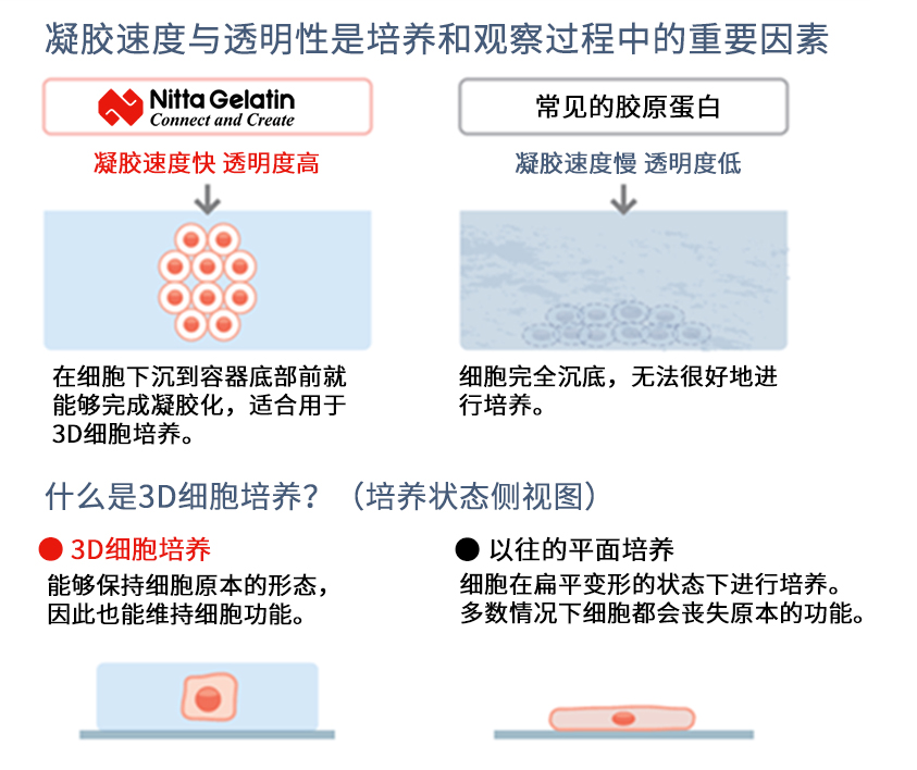 Cellmatrix® 系列产品                              细胞培养用胶原蛋白