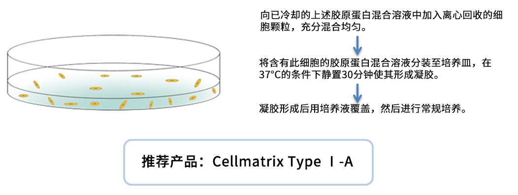 Cellmatrix® 系列产品                              细胞培养用胶原蛋白