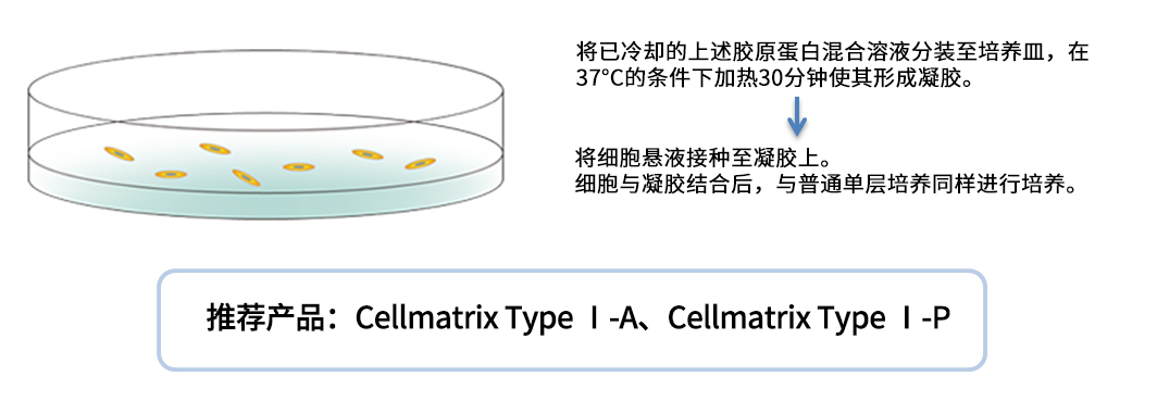 Cellmatrix® 系列产品                              细胞培养用胶原蛋白