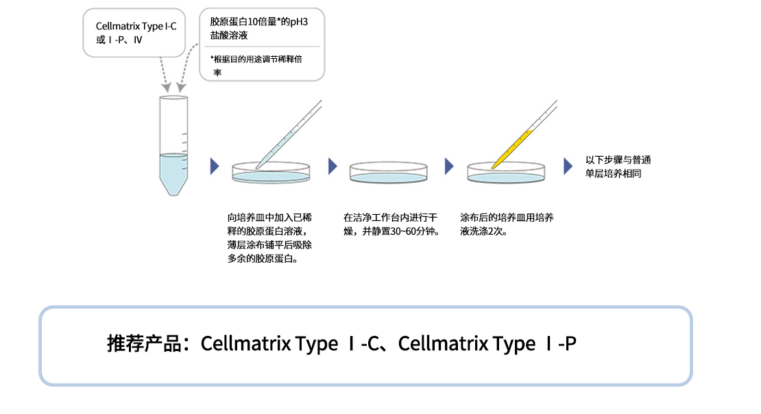 Cellmatrix® 系列产品                              细胞培养用胶原蛋白