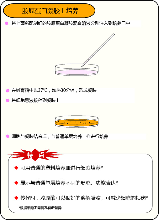 Cellmatrix® 系列产品                              细胞培养用胶原蛋白