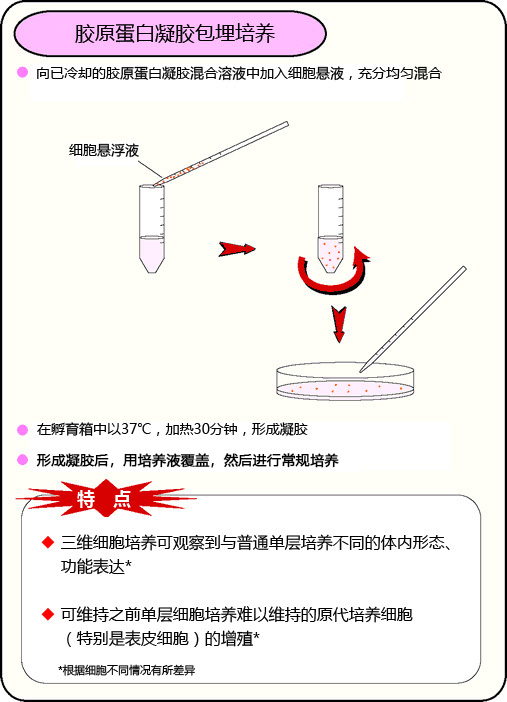 Cellmatrix® 系列产品                              细胞培养用胶原蛋白