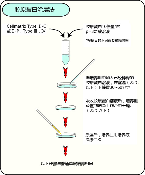 Cellmatrix® 系列产品                              细胞培养用胶原蛋白